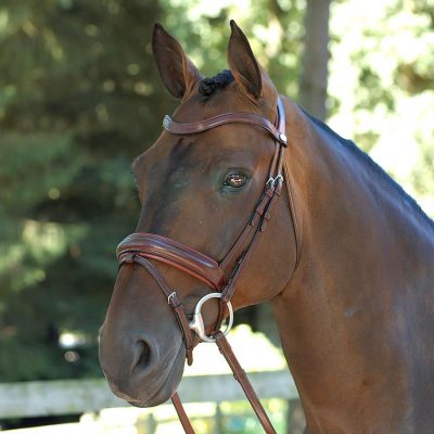 Sale Bridles