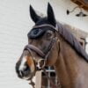 Dy'on Plaited Flash Bridle with Crank