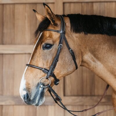 Dy'on Working Collection Rolled Leather Bridle